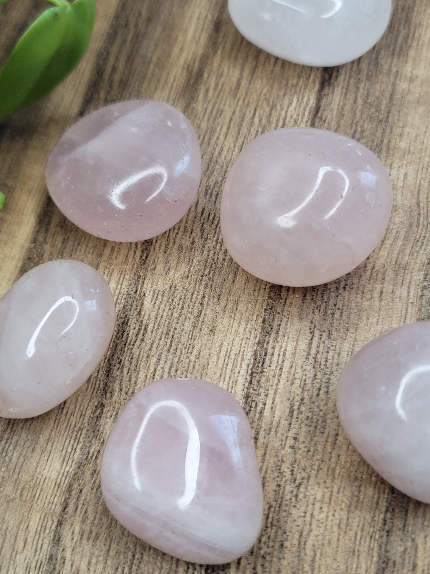 Rose Quartz Tumble – Self-Love, Healing & Pure Heart Energy