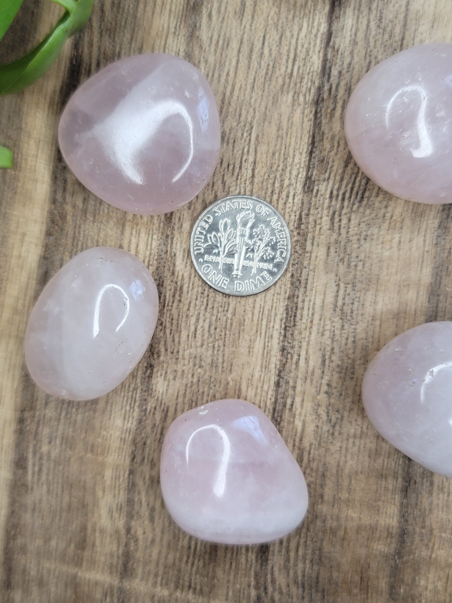 Rose Quartz Tumble – Self-Love, Healing & Pure Heart Energy