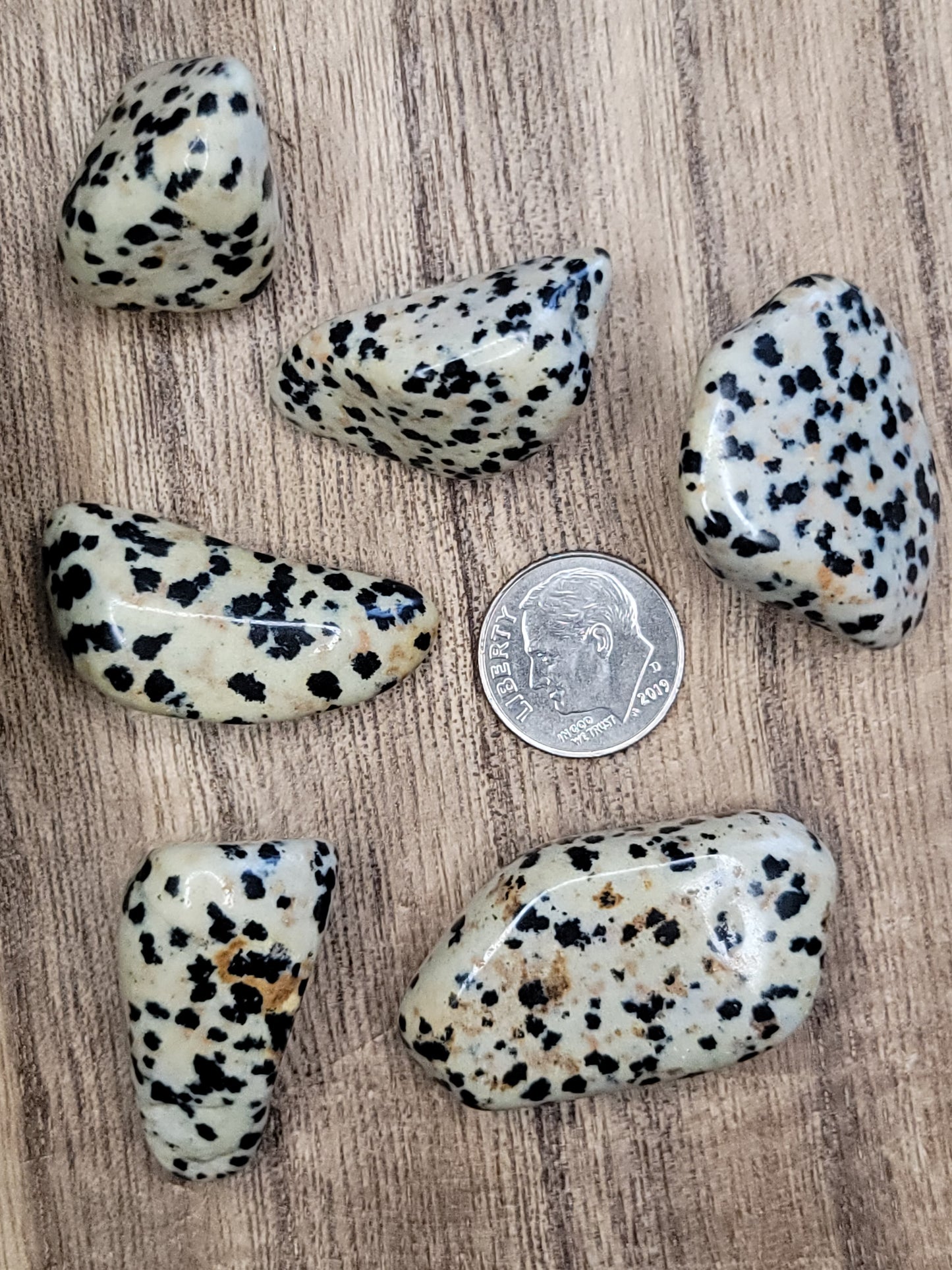 Dalmatian Jasper Tumble – Playful Energy, Protection & Motivation