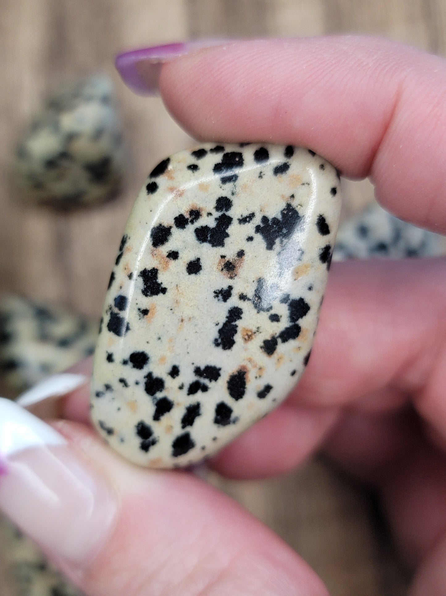 Dalmatian Jasper Tumble – Playful Energy, Protection & Motivation
