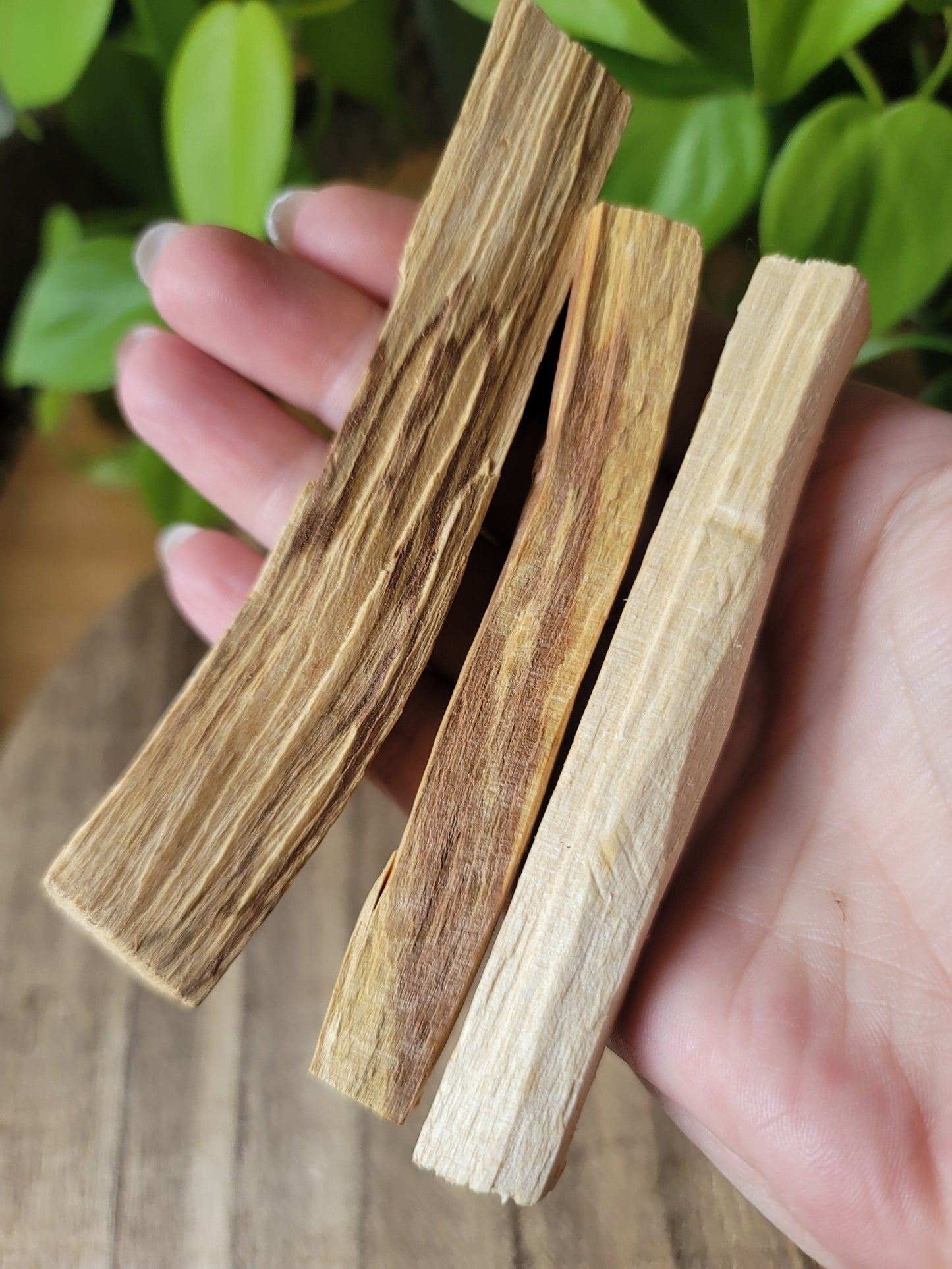 Palo Santo Stick 4" for Energy Clearing Protection and Spiritual Purification