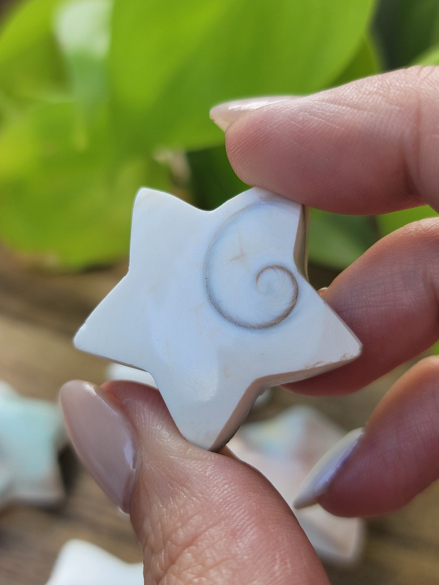 Shiva Star Fossil for Sacred Protection Masculine Energy and Spiritual Strength