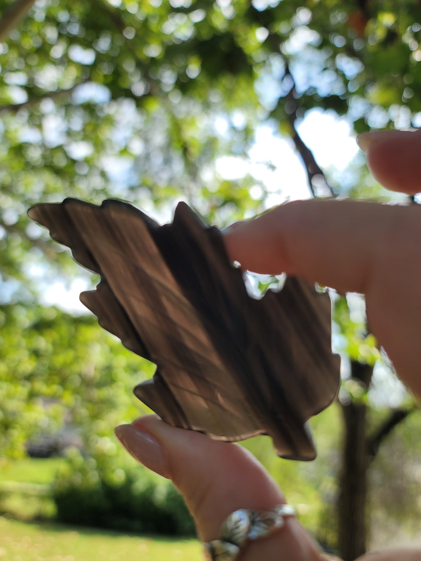 Fall Leaf Carving for Release Transformation and Seasonal Rituals