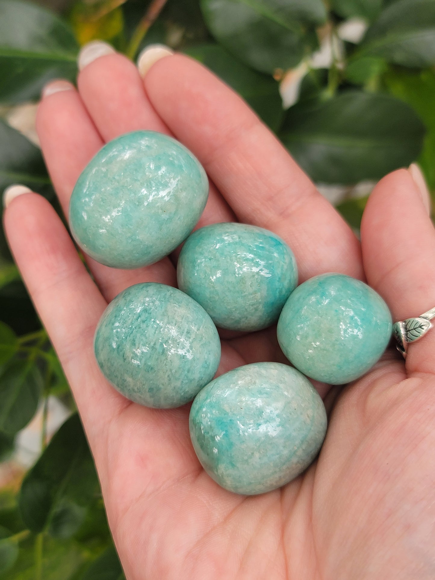 Amazonite Tumbles High Quality and High Flash for Truth Calm and Communication