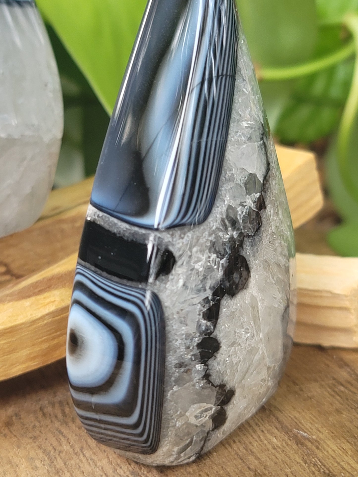 Banded Black Agate with Quartz Freeform – Protection, Clarity & Grounded Transformation