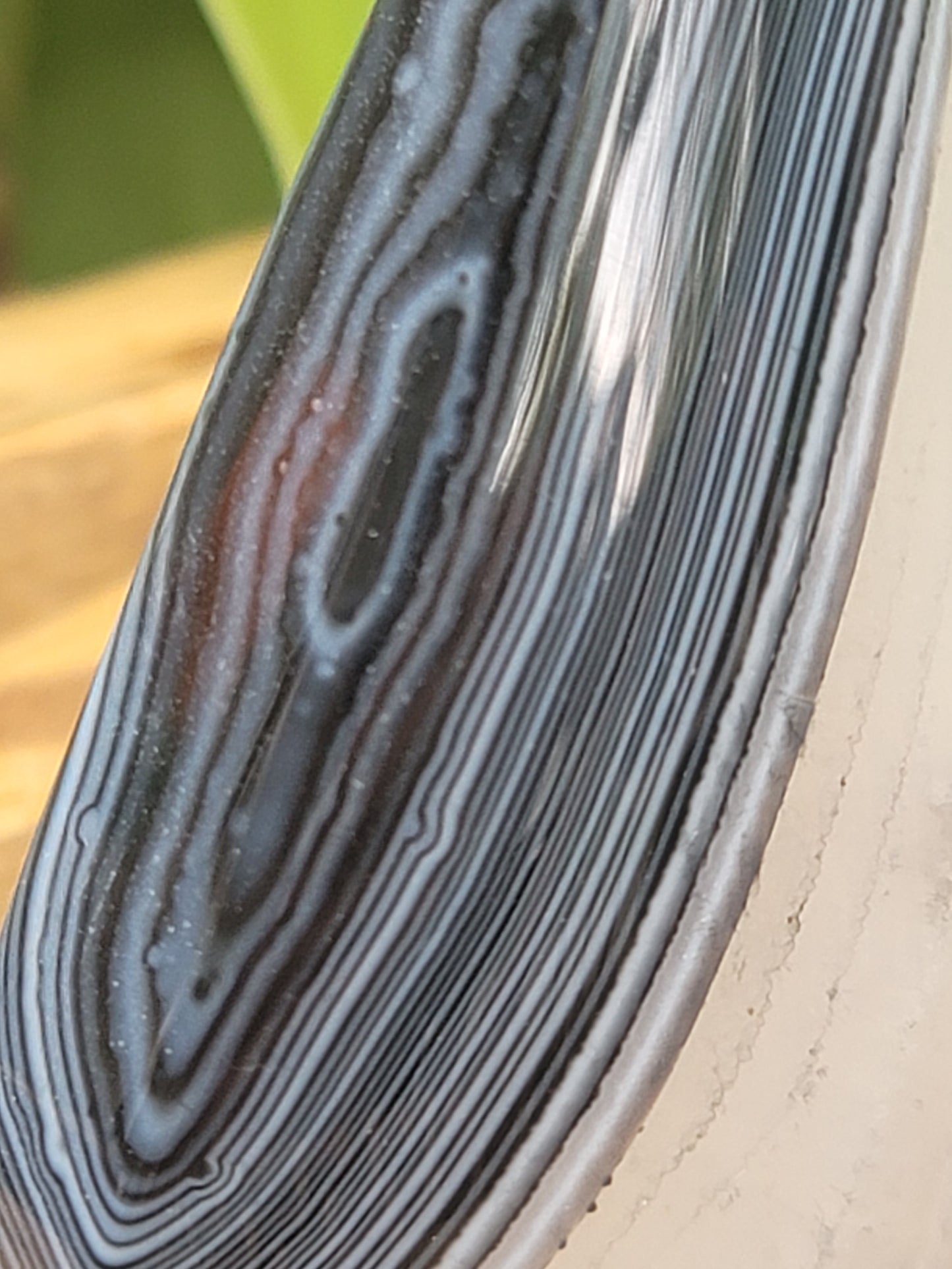 Banded Black Agate with Quartz Freeform – Protection, Clarity & Grounded Transformation