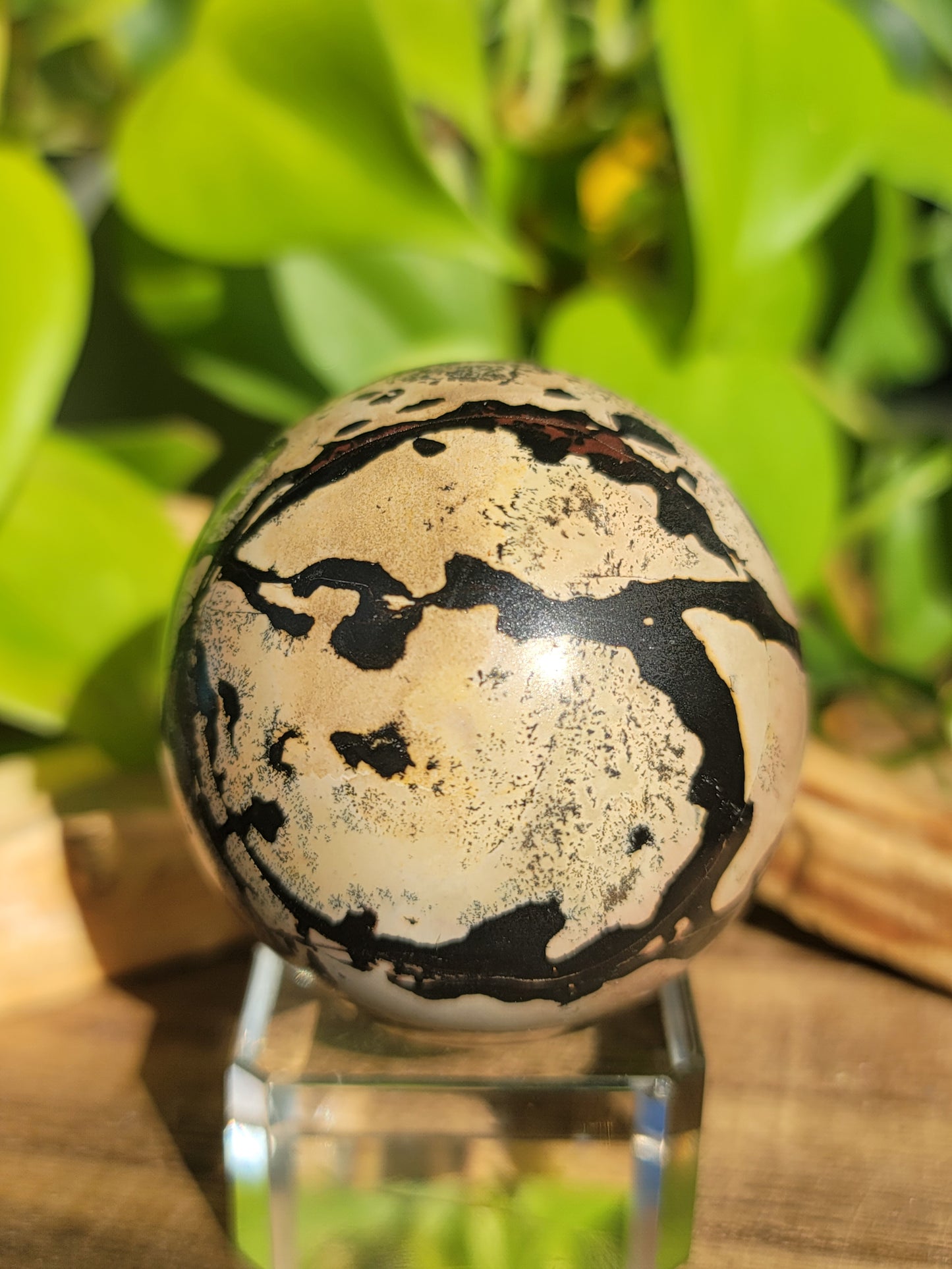 Picture Jasper Sphere for Grounding Wisdom and Earth Connection