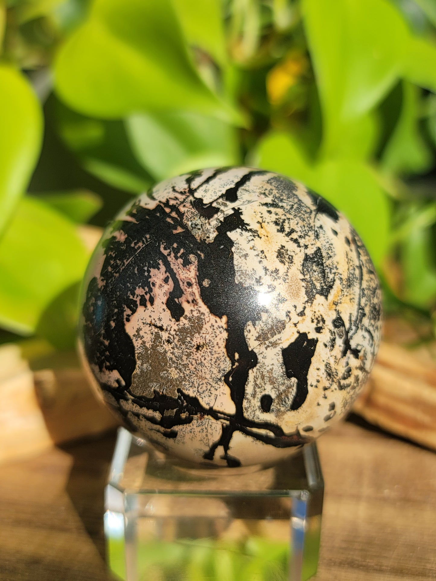Picture Jasper Sphere for Grounding Wisdom and Earth Connection