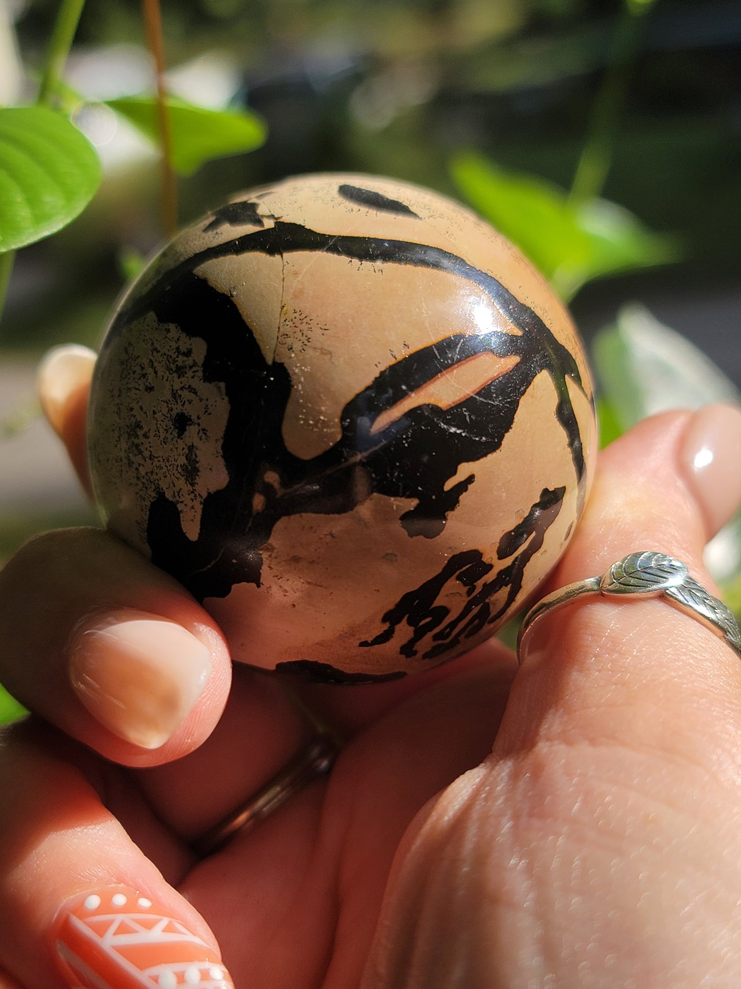 Picture Jasper Sphere for Grounding Wisdom and Earth Connection