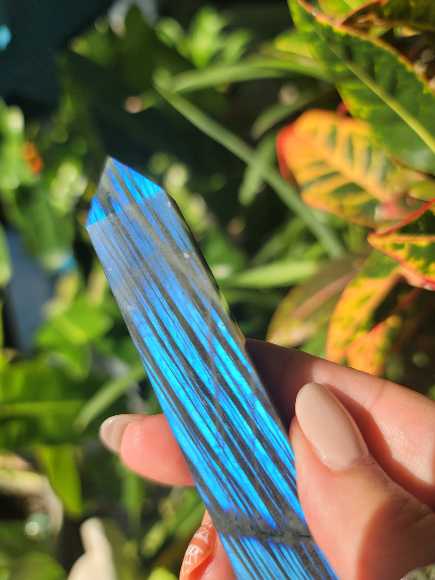 Labradorite Tower 5 Inch for Protection Intuition and Energy Shielding