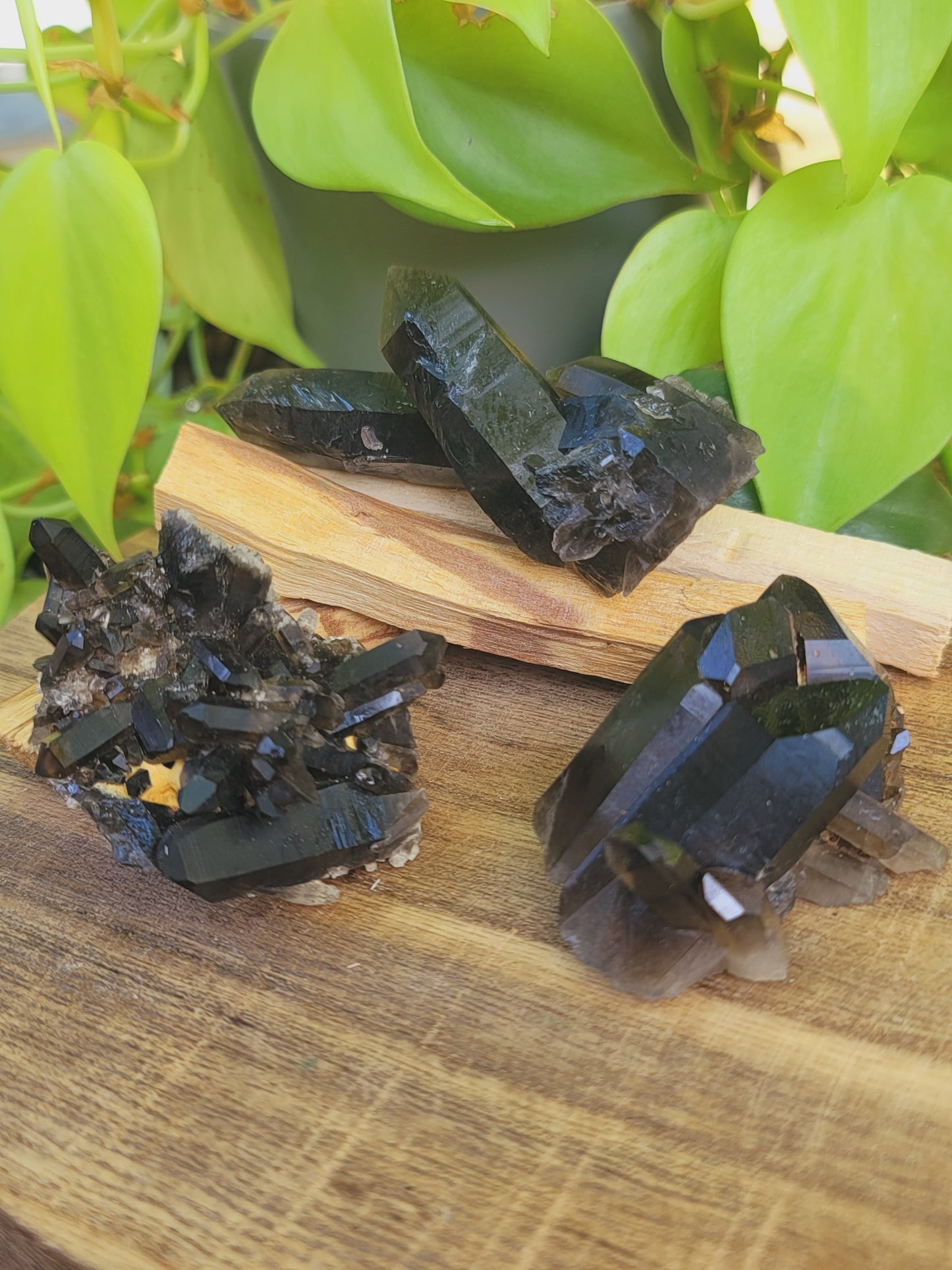 Smoky Quartz Clusters for Grounding Protection and Energy Clearing