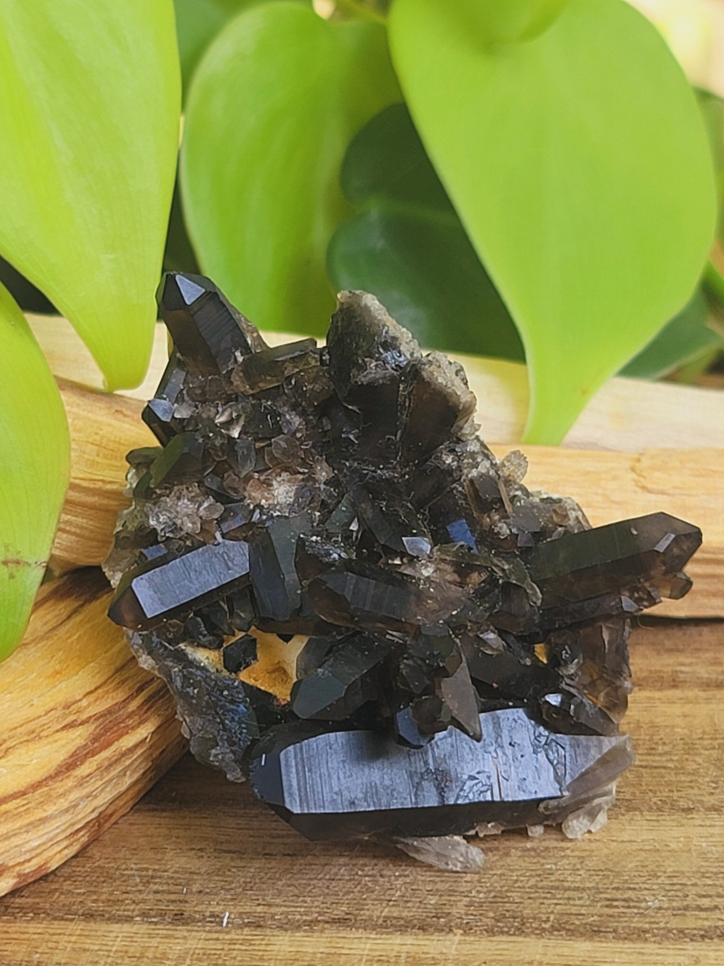 Smoky Quartz Clusters for Grounding Protection and Energy Clearing