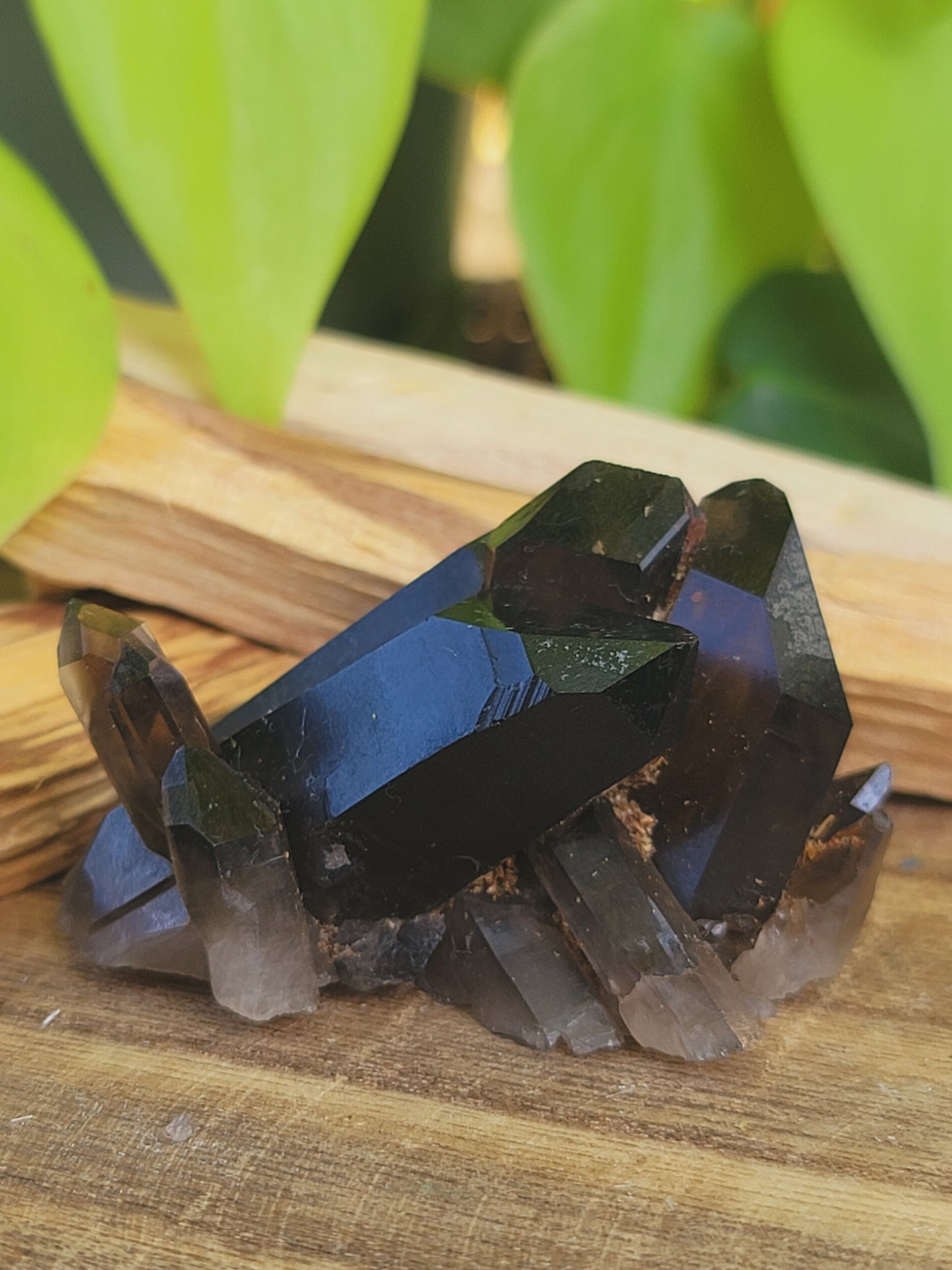 Smoky Quartz Clusters for Grounding Protection and Energy Clearing