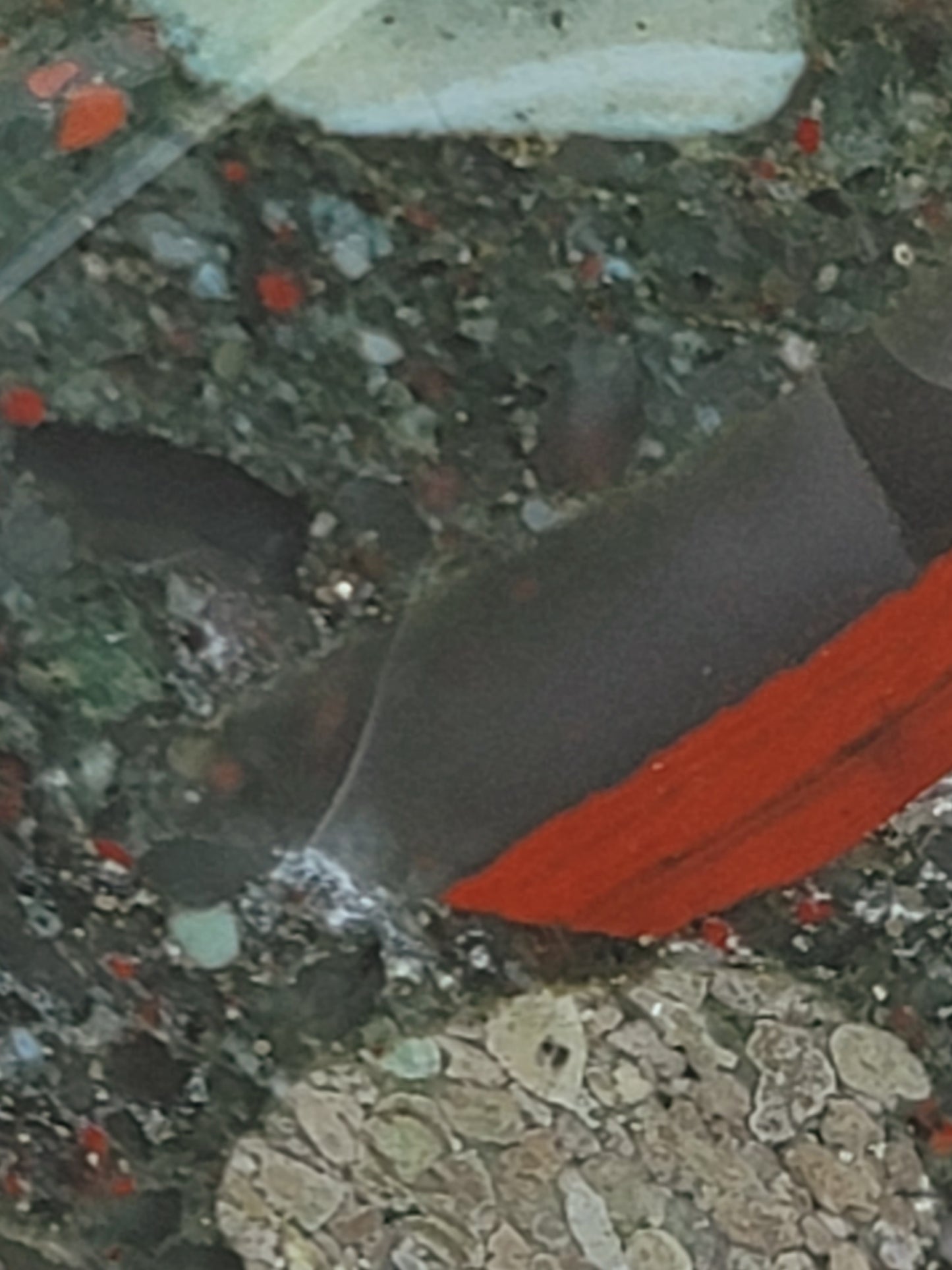 African Bloodstone Freeform for Strength Grounding and Vitality
