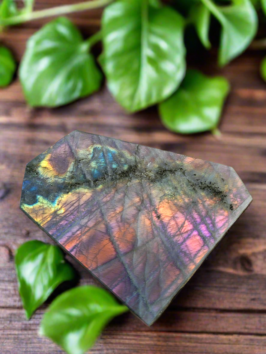 Labradorite Freeform for Intuition Transformation and Spiritual Protection