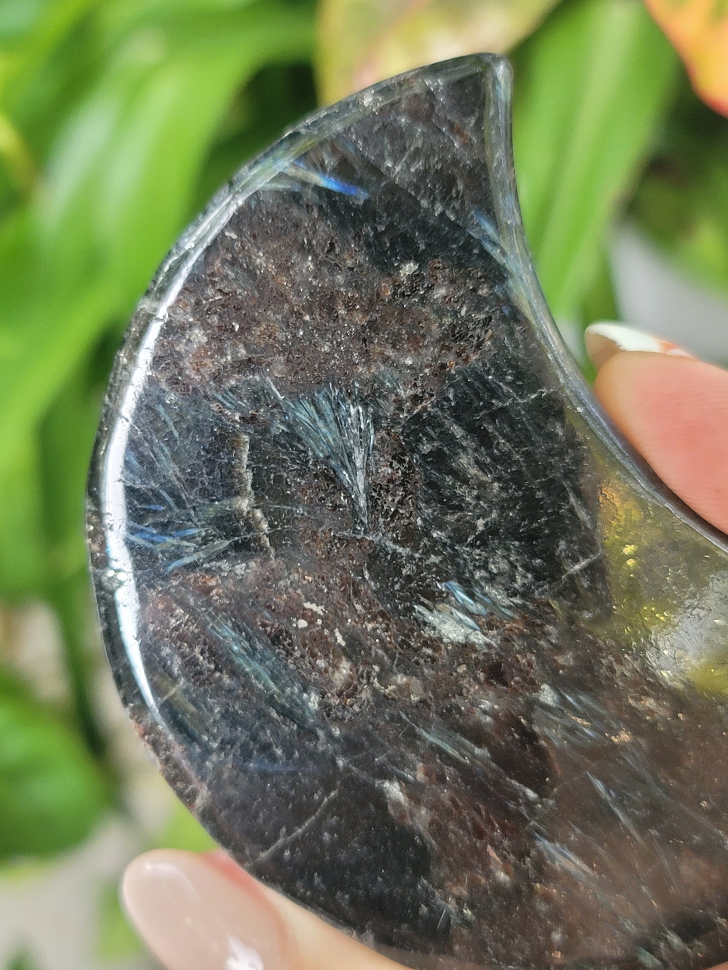 Garnet Astrophyllite Moon Carving for Transformation Grounding and Cosmic Power