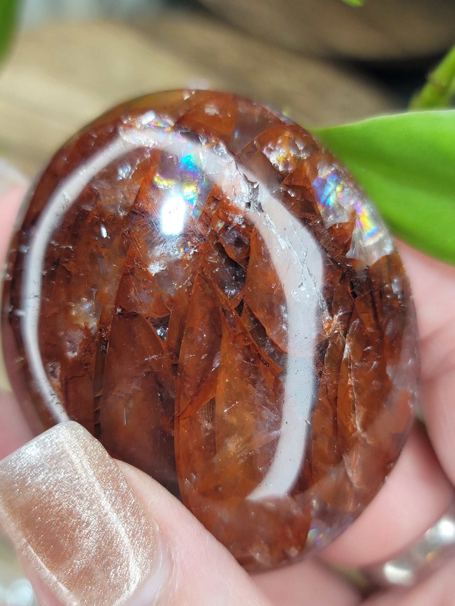 Fire Quartz Palm Stone – Clarity, Courage & Bold Transformation