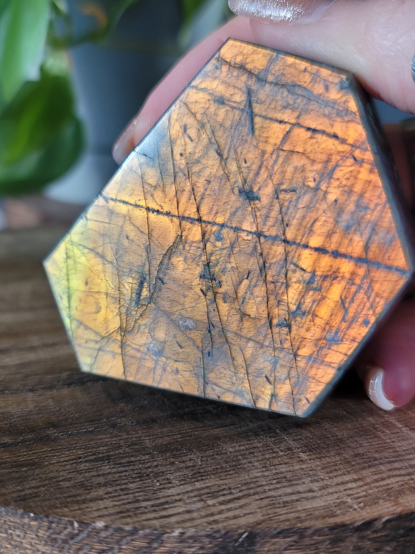 Labradorite Freeform for Intuition Transformation and Spiritual Protection