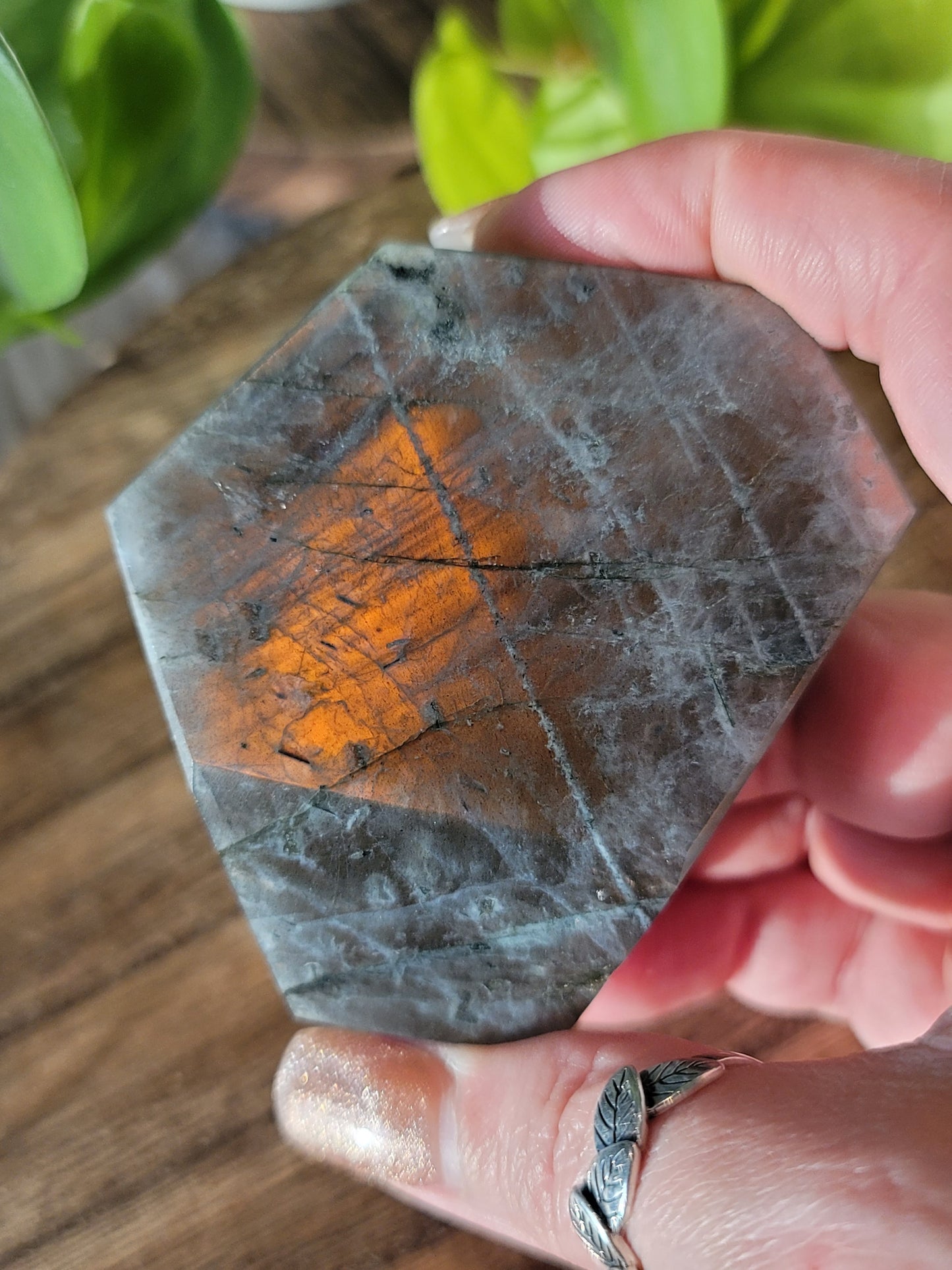 Labradorite Freeform for Intuition Transformation and Spiritual Protection