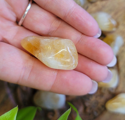 Abundance & Prosperity Healing Crystals Kit