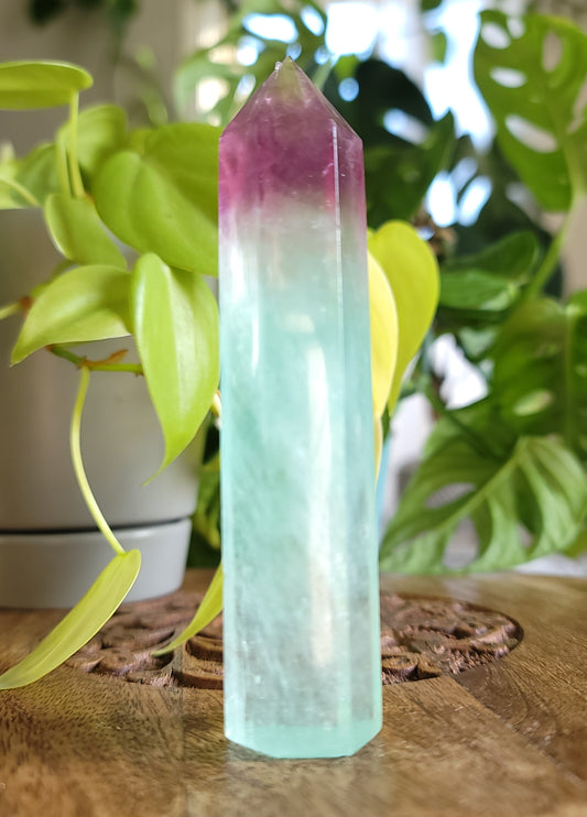 Watermelon Fluorite Point: Nature's Palette of Tranquility