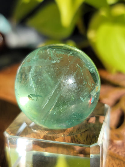 Rainbow Green Fluorite Sphere: Spectrum of Healing Light and Clarity