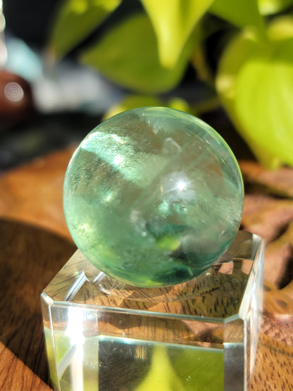 Rainbow Green Fluorite Sphere: Spectrum of Healing Light and Clarity