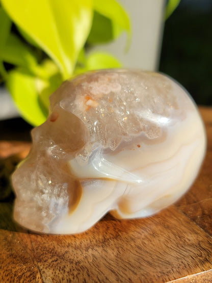 Flower Agate Quartz Skull – Transformation & Spiritual Growth