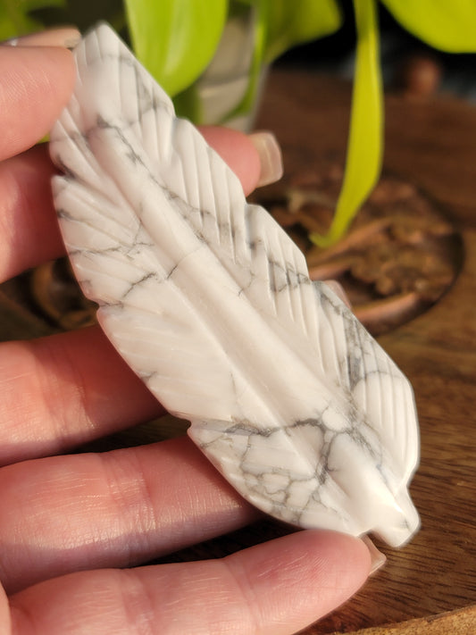 Howlite feather