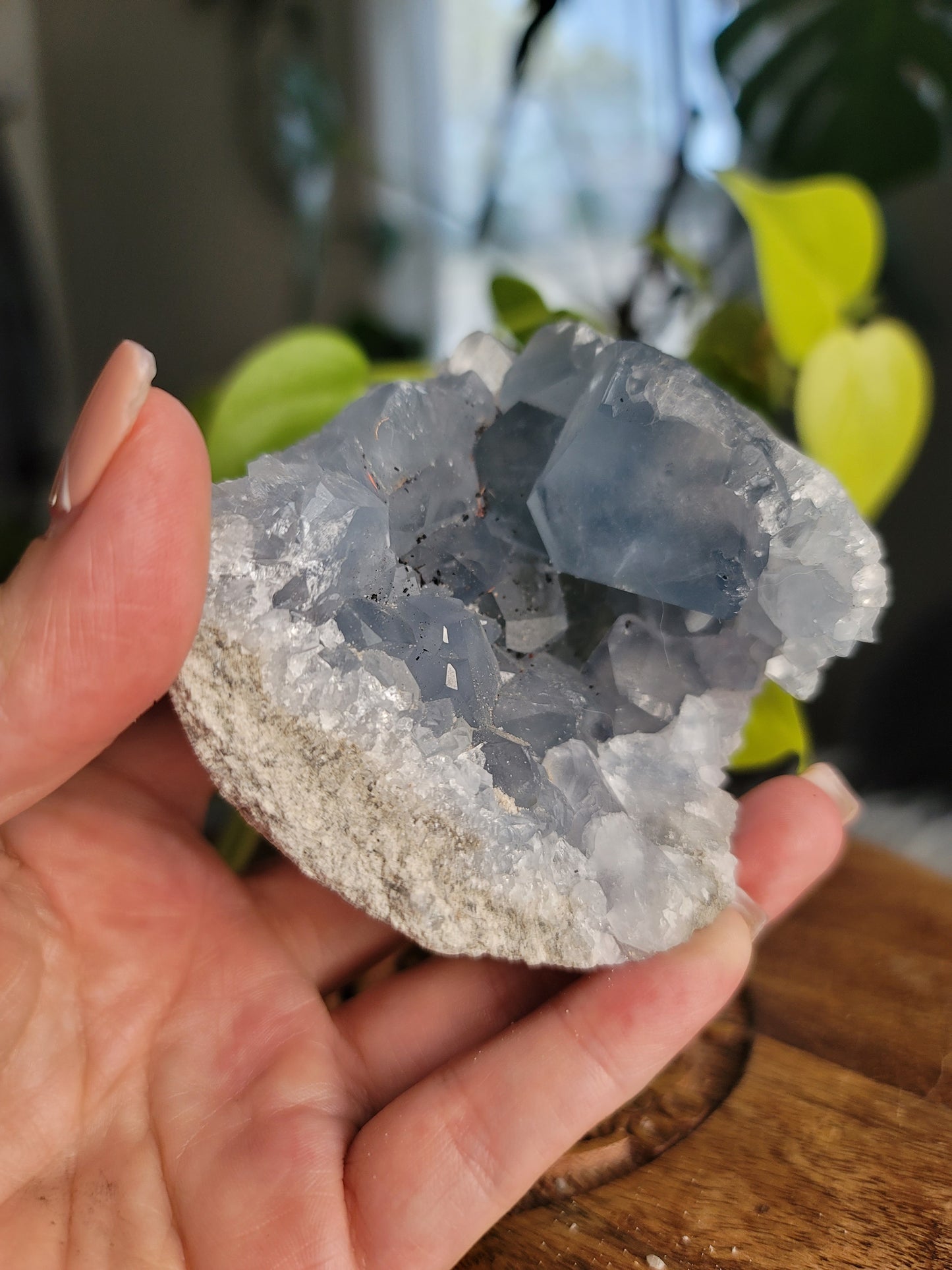 Blue Celestite Geode: A Celestial Embrace of Calm and Clarity