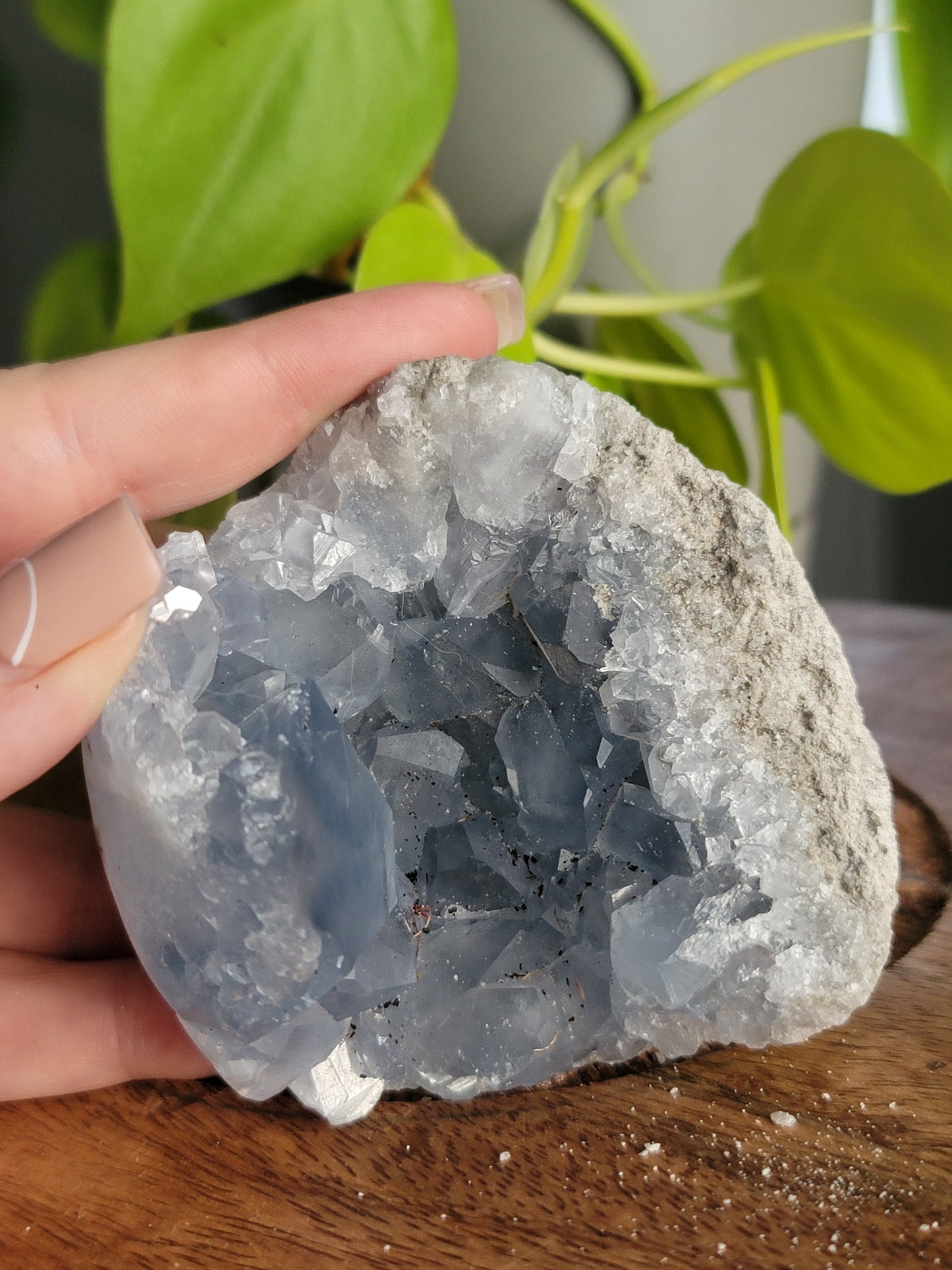 Blue Celestite Geode: A Celestial Embrace of Calm and Clarity