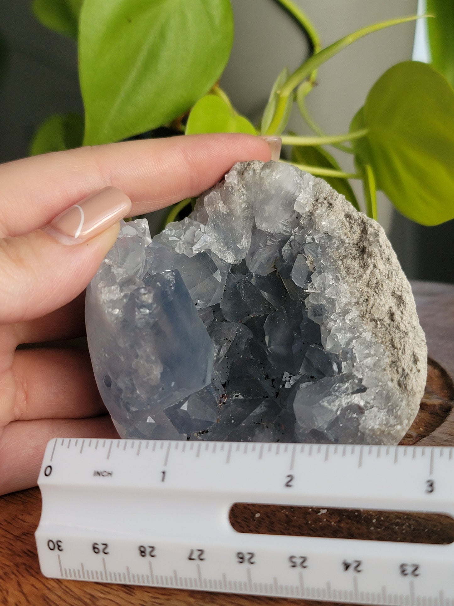 Blue Celestite Geode: A Celestial Embrace of Calm and Clarity