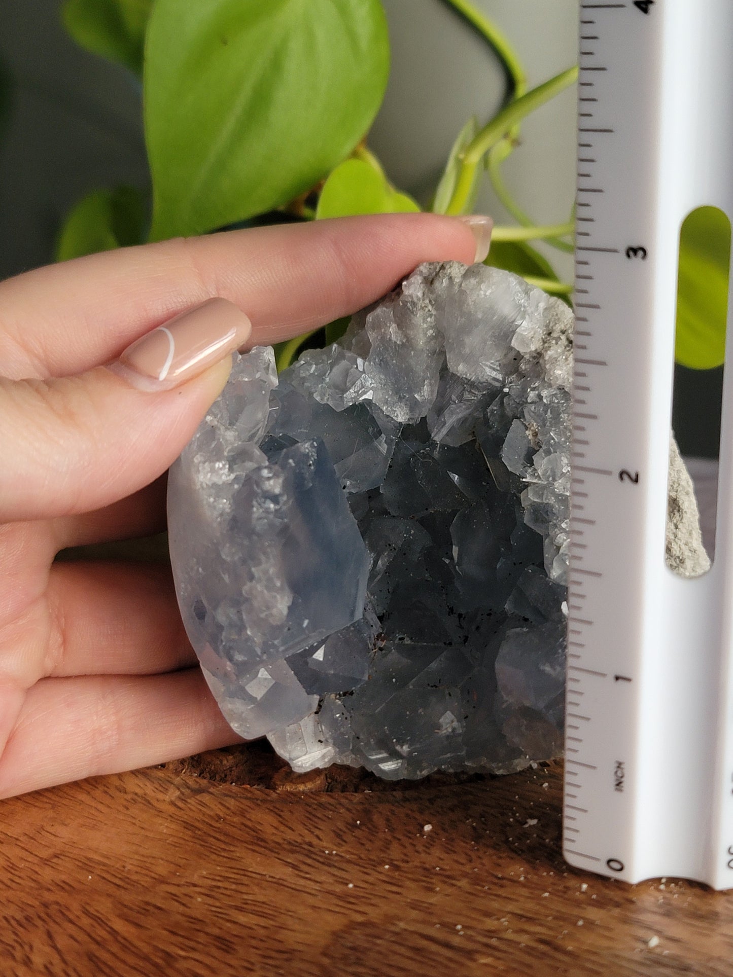 Blue Celestite Geode: A Celestial Embrace of Calm and Clarity