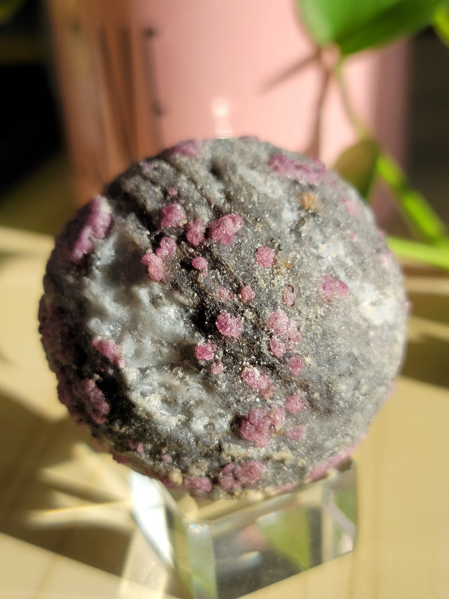 Plum Blossom Tourmaline Sphere: Nature's Floral Harmony and Healing Energy 2.5"