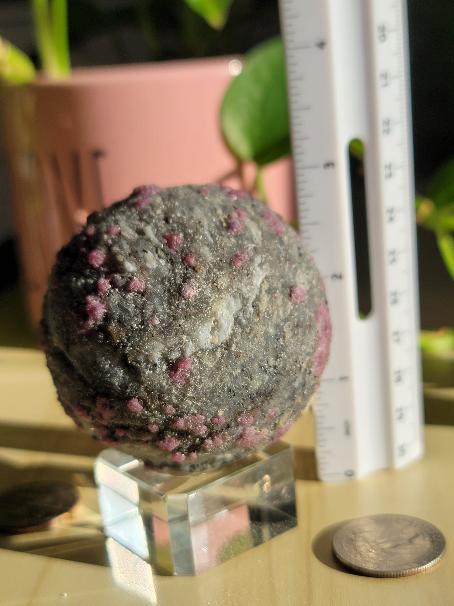 Plum Blossom Tourmaline Sphere: Nature's Floral Harmony and Healing Energy 2.5"