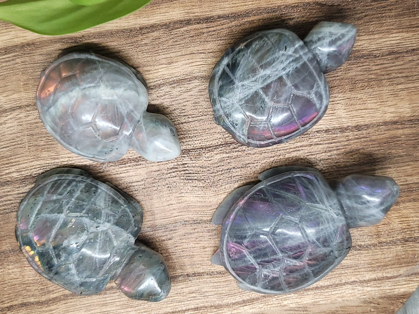 High Flash Labradorite Turtle Carving: Mystical Protection and Inner Strength