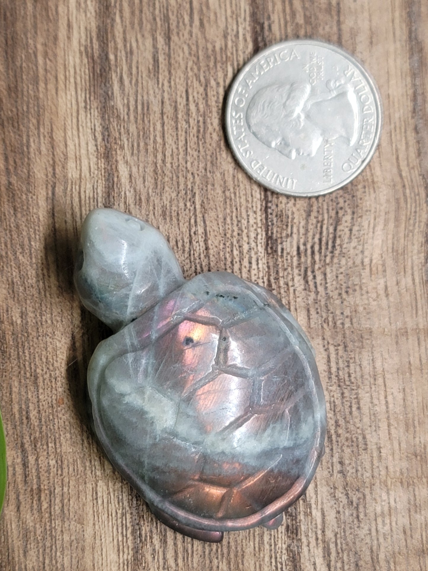 High Flash Labradorite Turtle Carving: Mystical Protection and Inner Strength