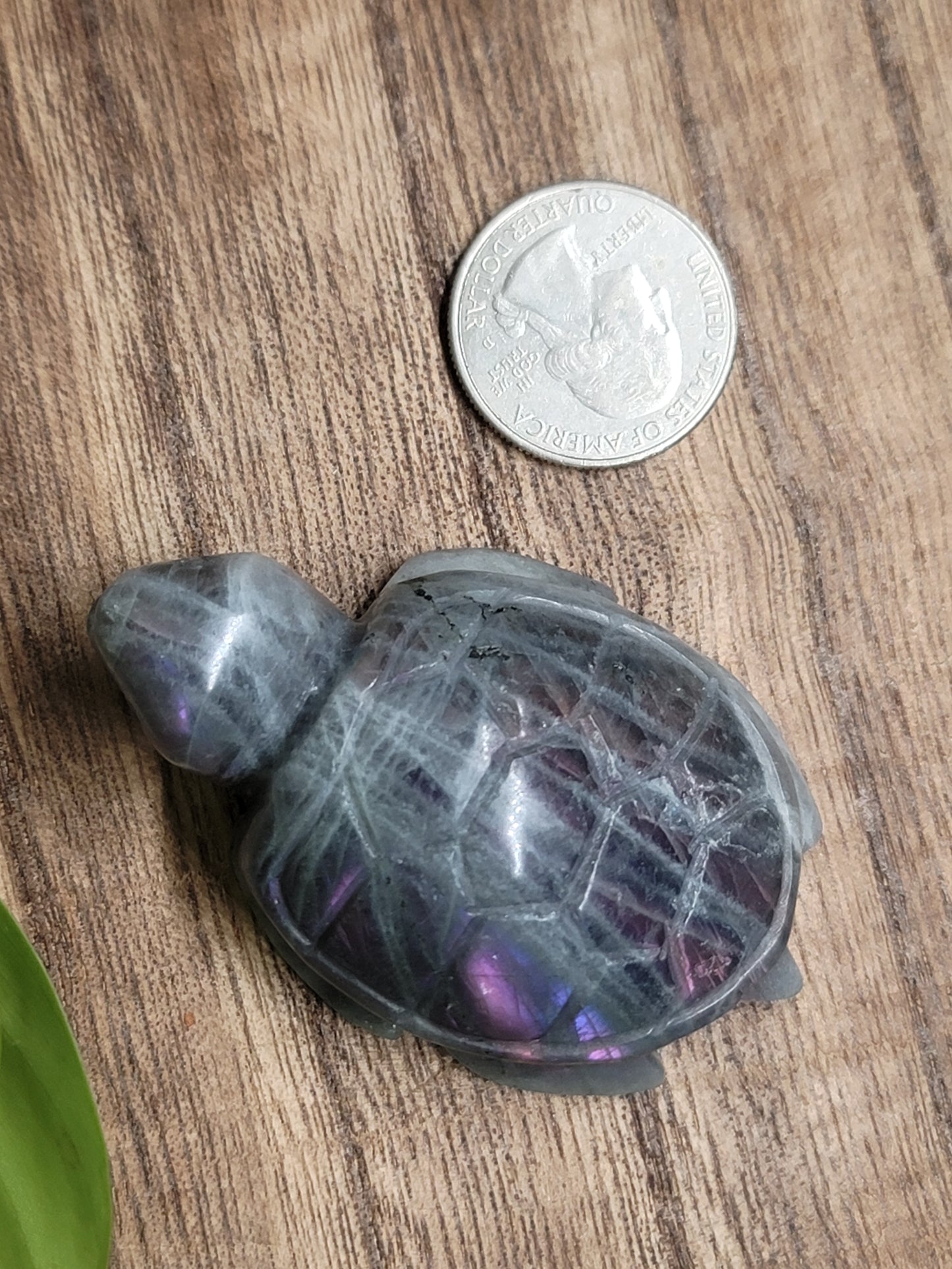 High Flash Labradorite Turtle Carving: Mystical Protection and Inner Strength