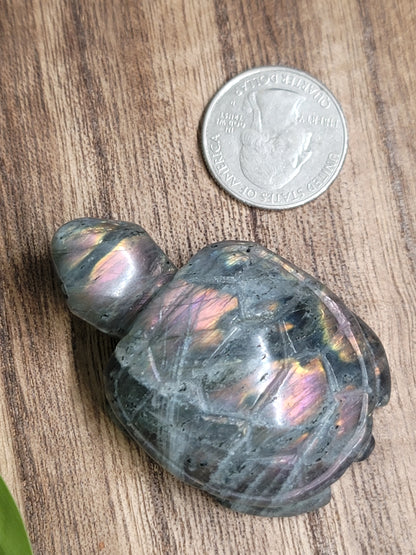 High Flash Labradorite Turtle Carving: Mystical Protection and Inner Strength