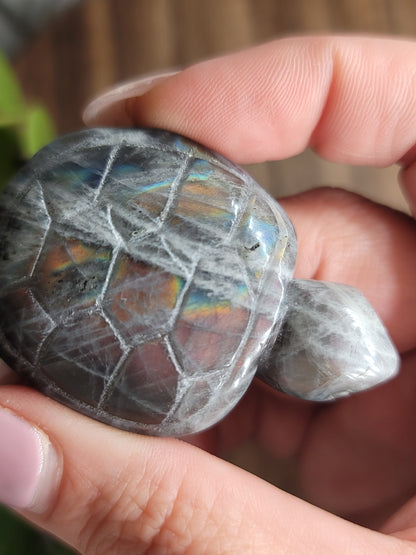 High Flash Labradorite Turtle Carving: Mystical Protection and Inner Strength