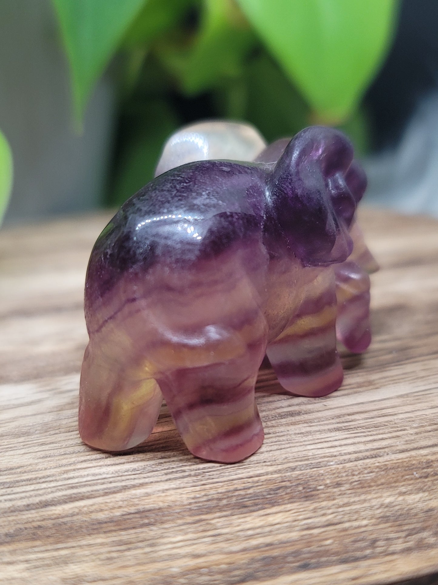 Fluorite Elephant Carving: Wisdom and Spiritual Growth