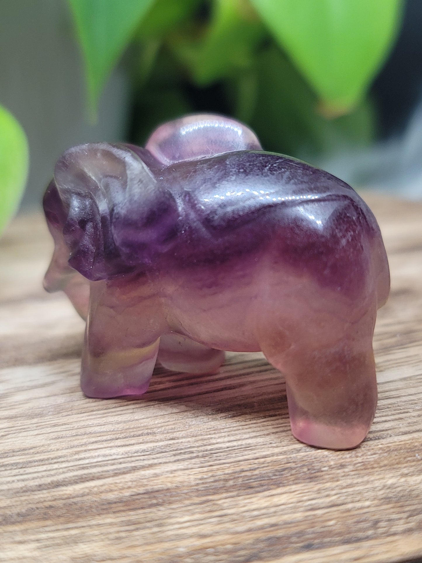 Fluorite Elephant Carving: Wisdom and Spiritual Growth