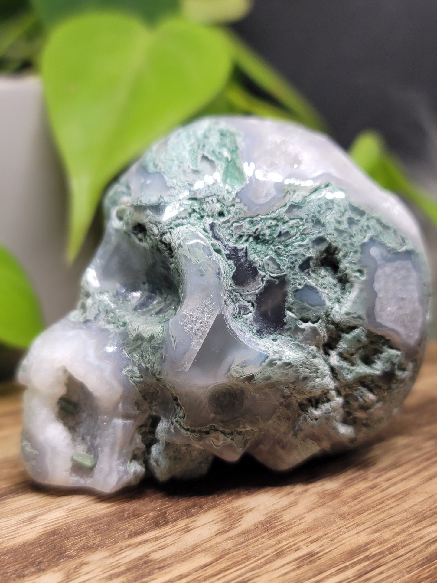 Moss Agate Druzy Quartz Skull: Grounding and Spiritual Transformation