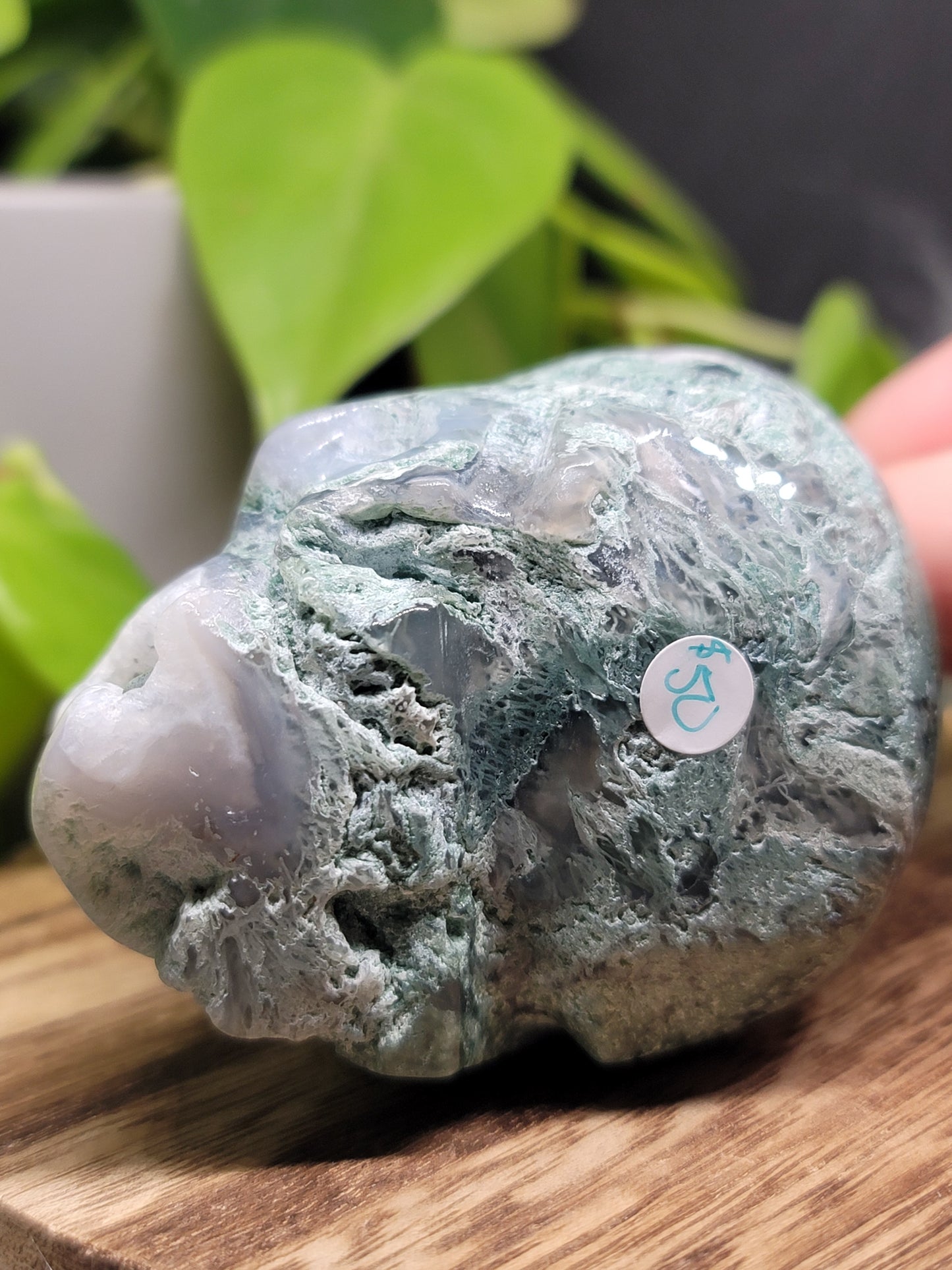 Moss Agate Druzy Quartz Skull: Grounding and Spiritual Transformation