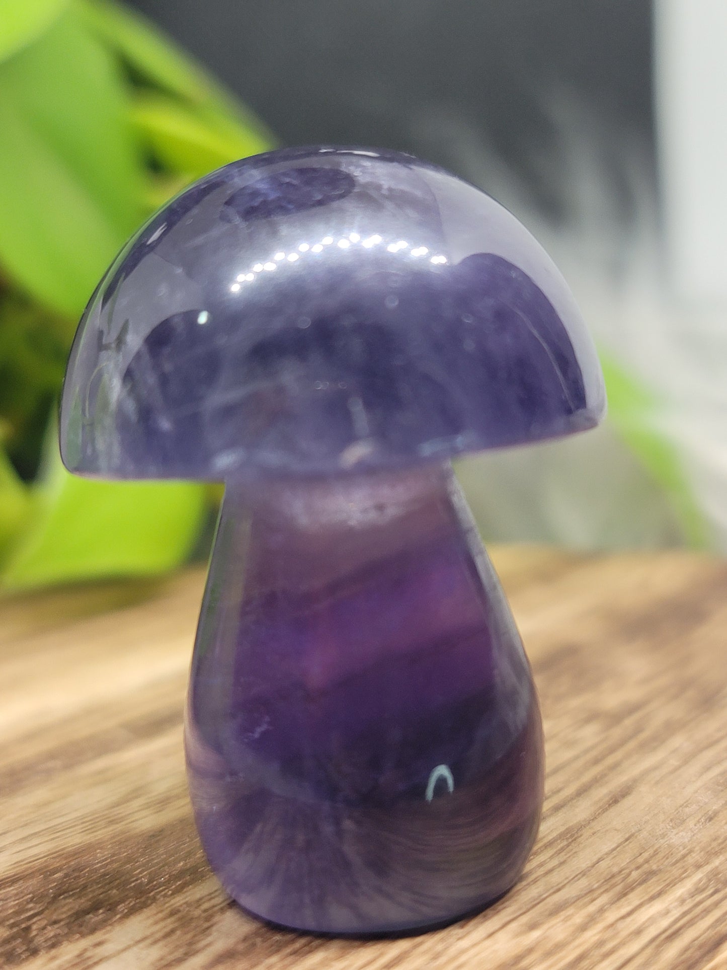 Fluorite Mushroom: Clarity and Harmonious Balance