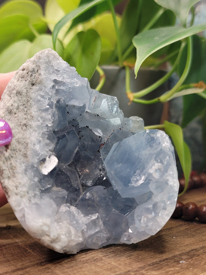 Blue Celestite Geode – Peace, Intuition & Angelic Energy