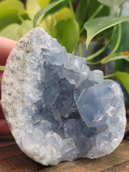 Blue Celestite Geode – Peace, Intuition & Angelic Energy