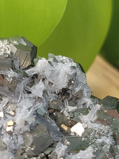Pyrite Cube in Quartz Matrix Specimen for Abundance Manifestation and Energetic Strength