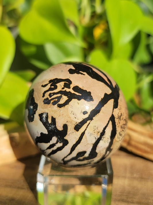 Picture Jasper Sphere for Grounding Wisdom and Earth Connection