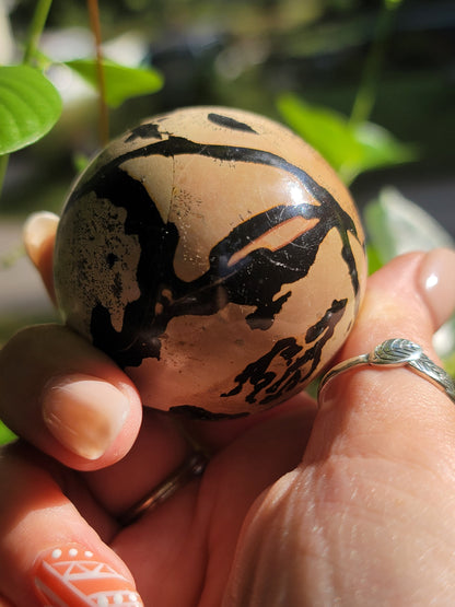 Picture Jasper Sphere for Grounding Wisdom and Earth Connection